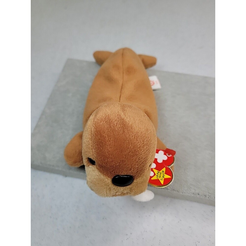 TY beanie babies Tusk the walrus 1996 W/Tags 6" - Picture 2 of 16